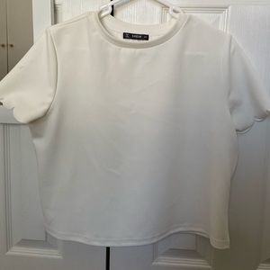 Shein- Lettuce Cut Sleeves: Size Large